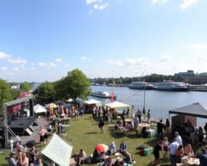 Kulturfestival an der Elbe: Musik, Kunst und mehr