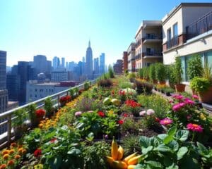 Urban Gardening für Stadtbewohner