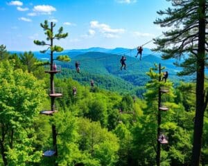 Kletterparks in Sachsen: Adrenalin in luftigen Höhen