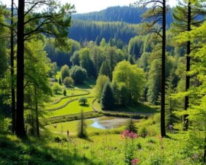 Naturparks in Thüringen: Ruhe in der Wildnis
