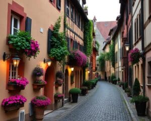 Stadtrundgänge in Heidelberg: Romantische Straßen