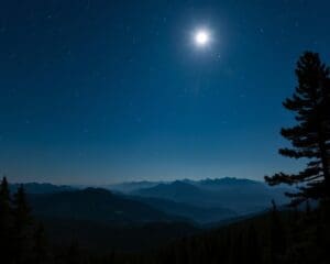 Sternwanderungen im Allgäu: Natur bei Nacht