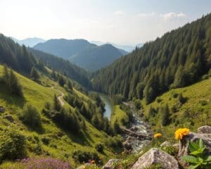 Wanderausflüge in der Eifel: Aktiv und entspannt